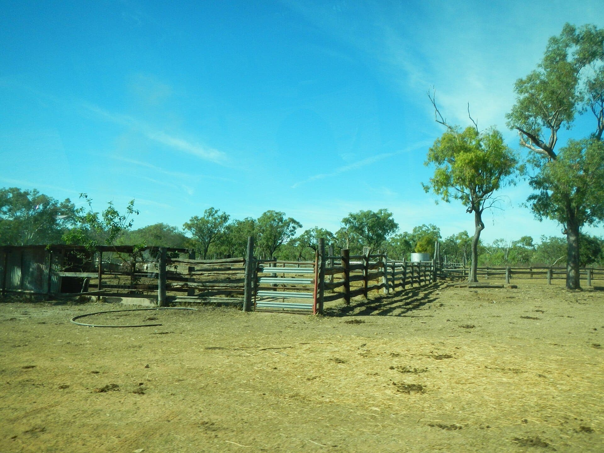 Timber cattle yards on a Queensland station under a blue sky.