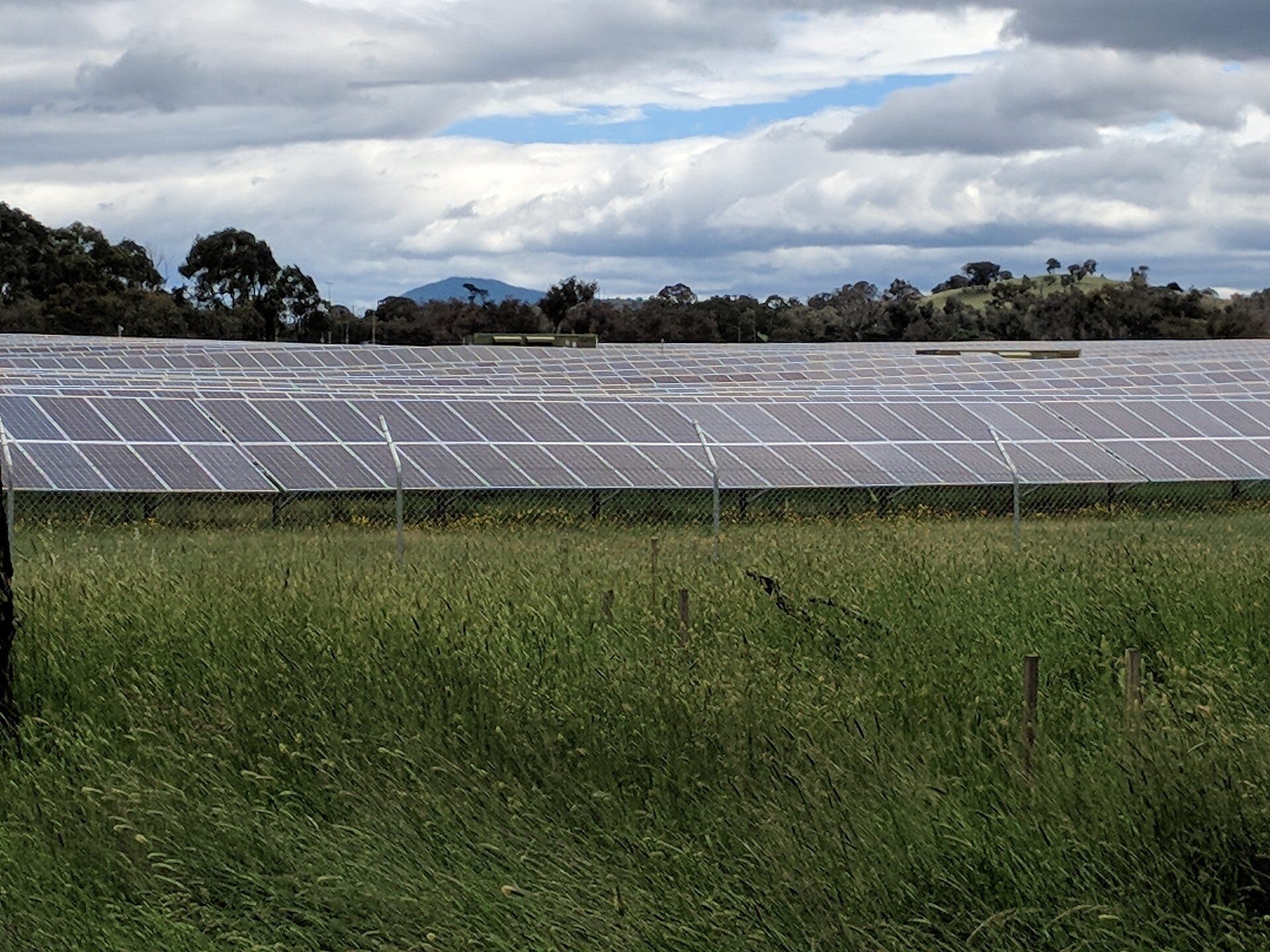 Rows of solar panels in a paddock outside Canberra.
